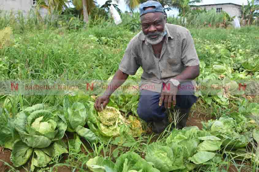 Farmer Richard Bourne