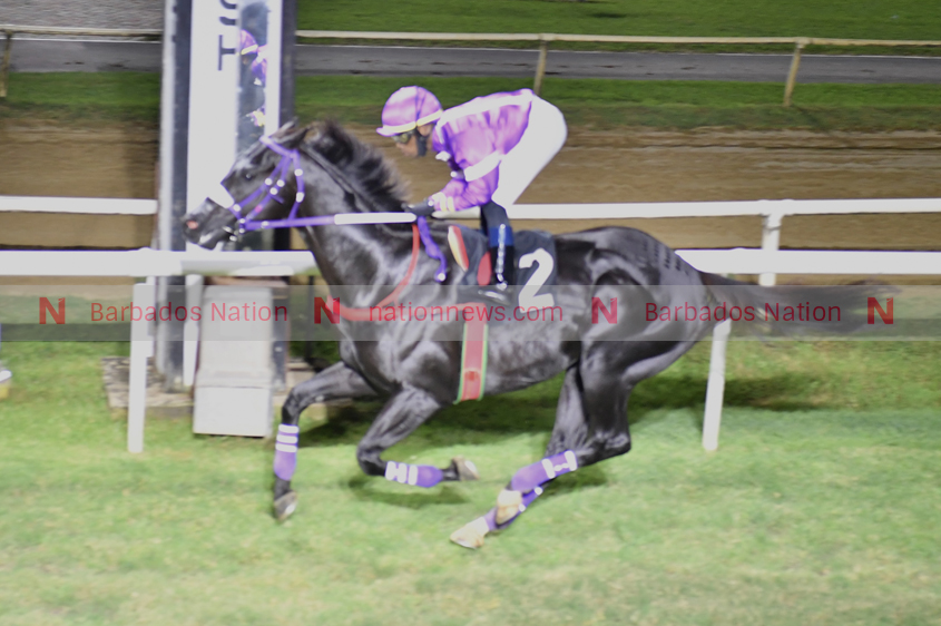 Dominus and Rasheed Hughes