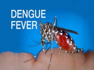 Dengue-fever-1