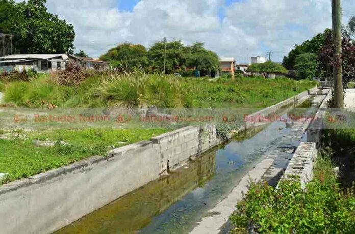 Murphy's Pasture Canal