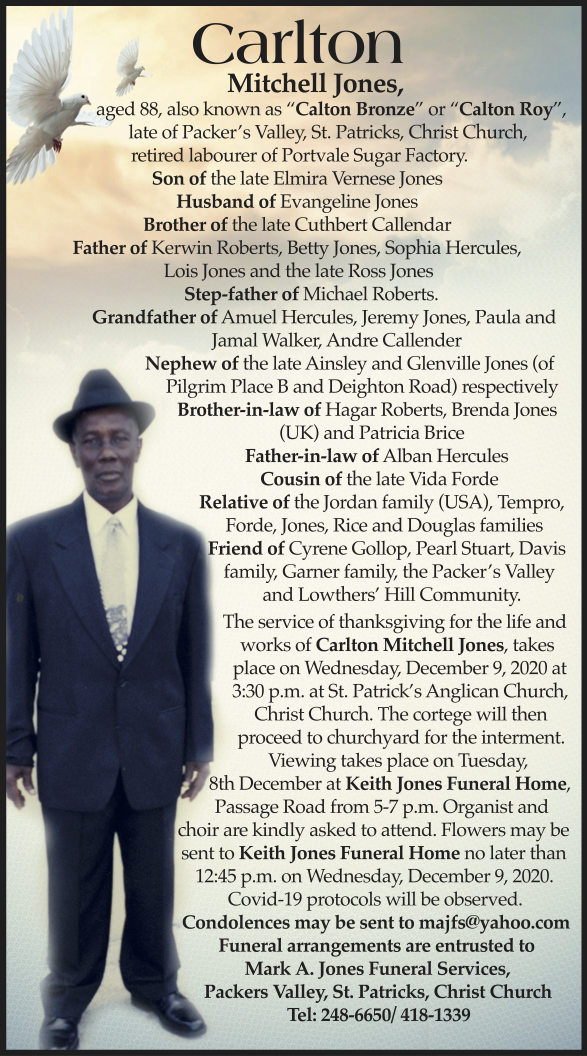 15b82b135fb220a76a6a3c9ba6bf