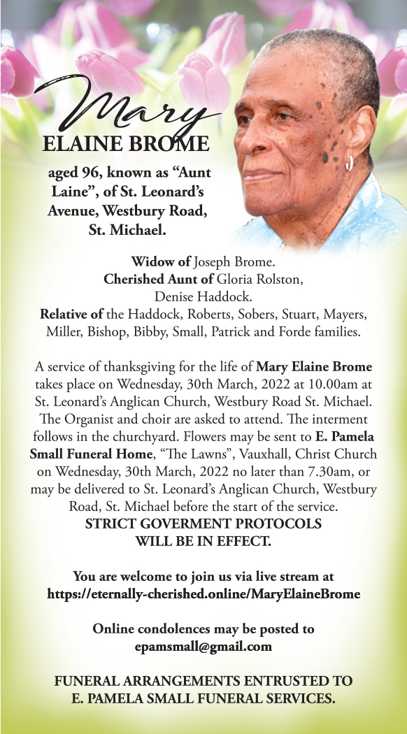 3aee83ccfa7a41c513966a229159