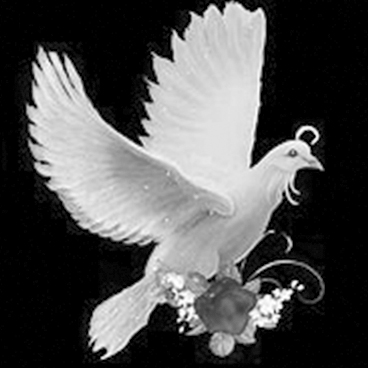 dd88d2b3a75f5f7928f3fa2fd0d0