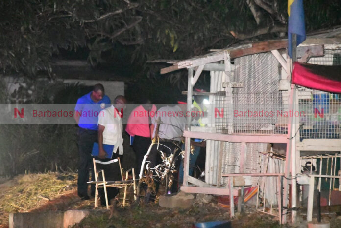 Shooting in St Lucy 2