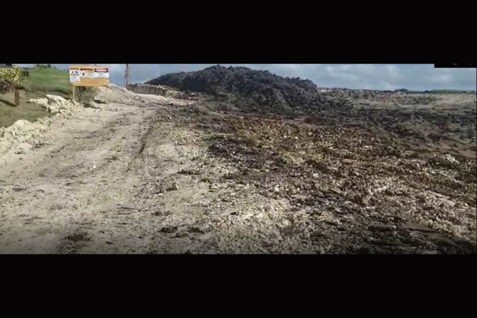 newton site