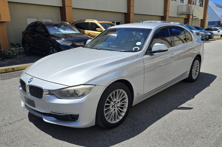 2014 BMW 316 SERIES