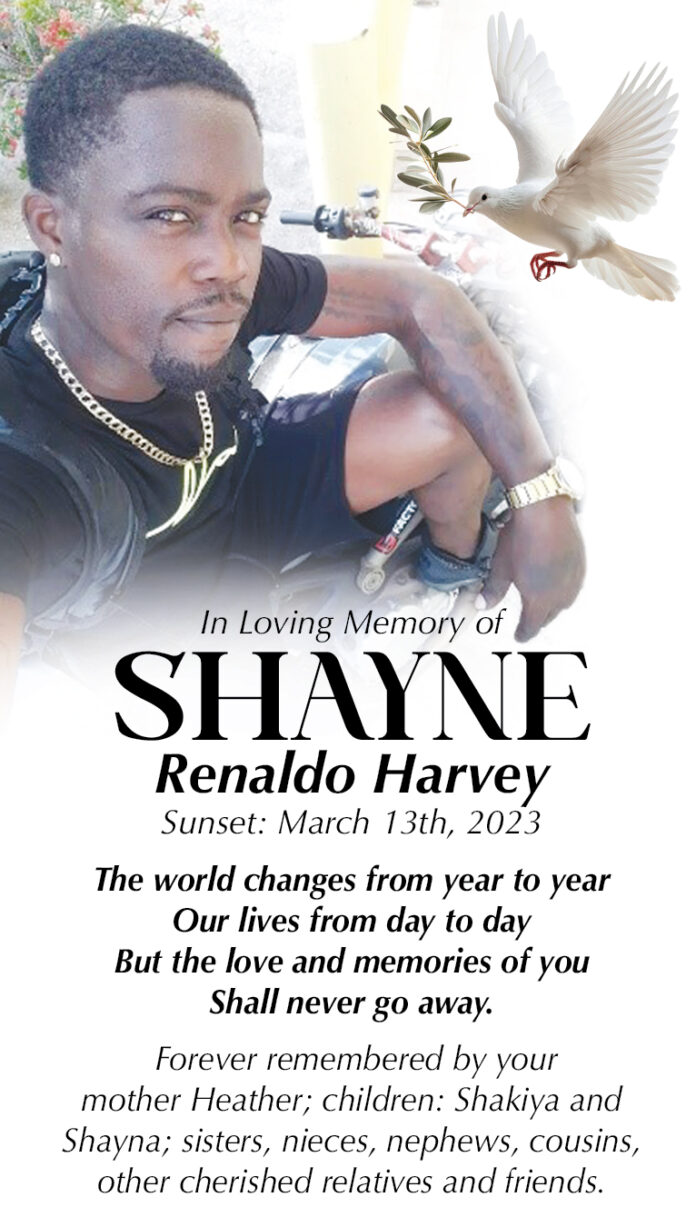 SHAYNE HARVEY