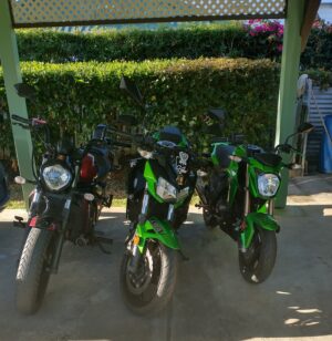 IMG_20220203_080517094_HDR