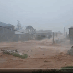 Sorry! Image not available at this time