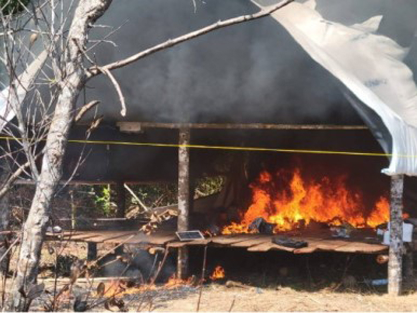 Guyana seizes drugs, guns and ammo during marijuana raid