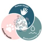 Sorry! Image not available at this time