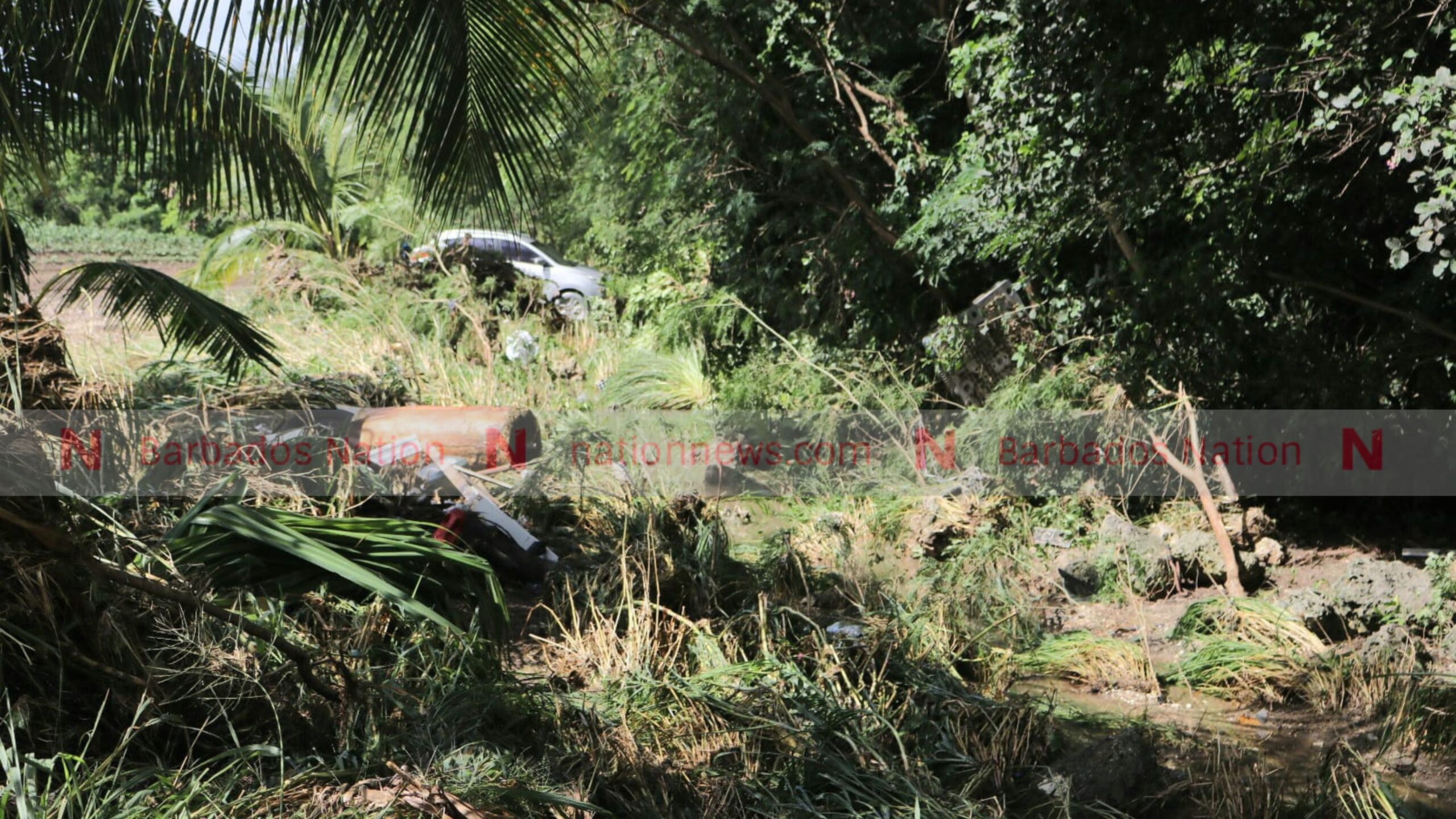 Body of man found at Salters, St George