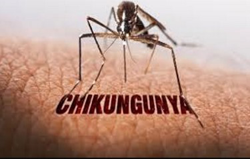 Suriname probes suspected chikungunya- related death