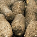 Sorry! Image not available at this time