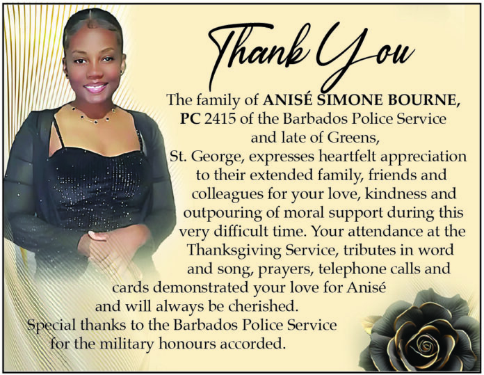 Anise Bourne new
