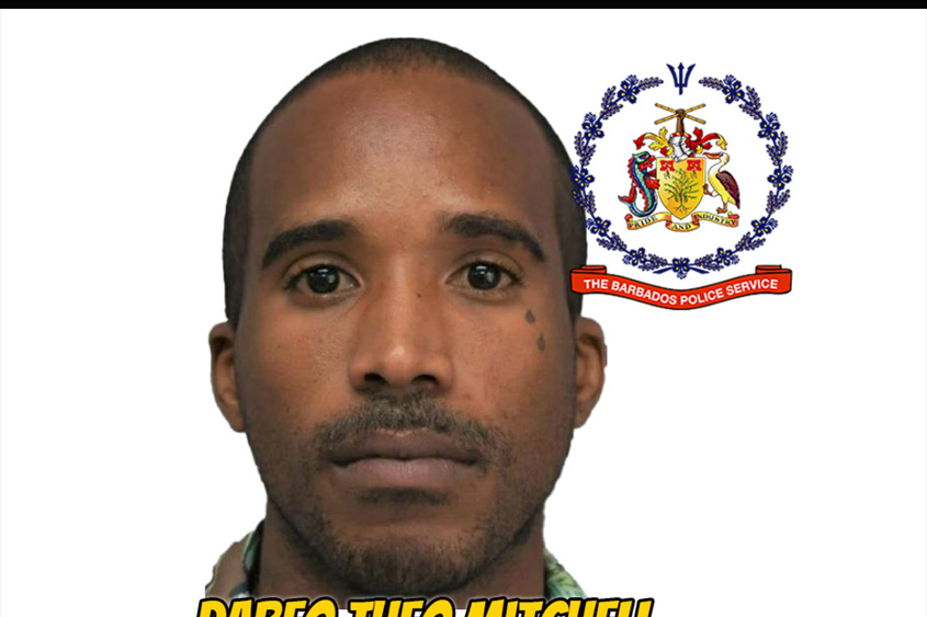 WANTED: Dareo Theo Mitchell