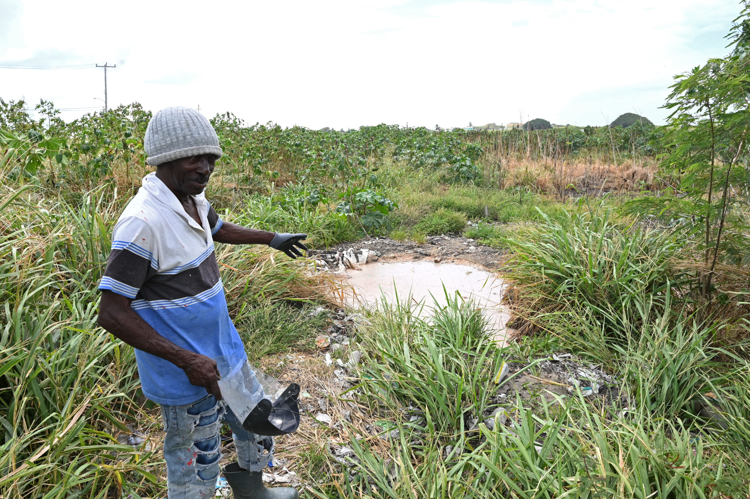 Farmers fed up over disposal; assessment to be conducted