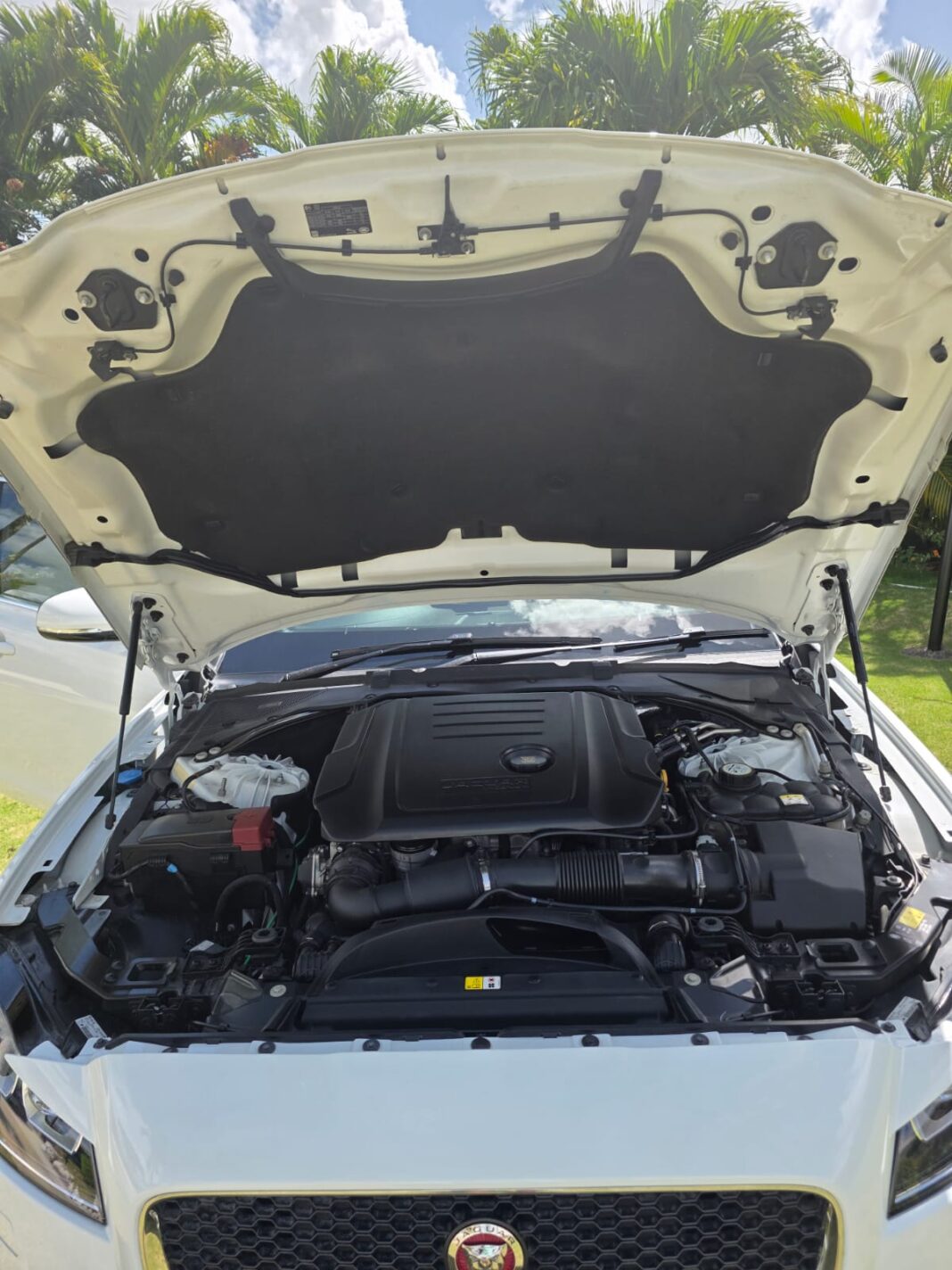 WhatsApp Image 2026-02-01 at 8.46.18 AM Z