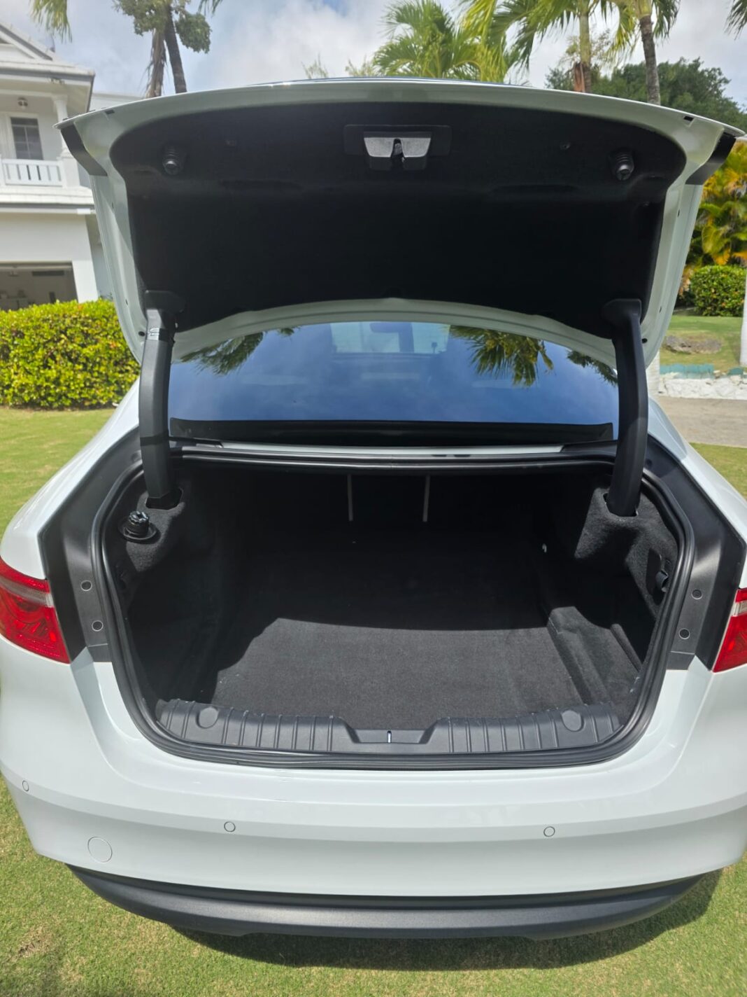 WhatsApp Image 2026-02-01 at 8.46.18 AM trunk