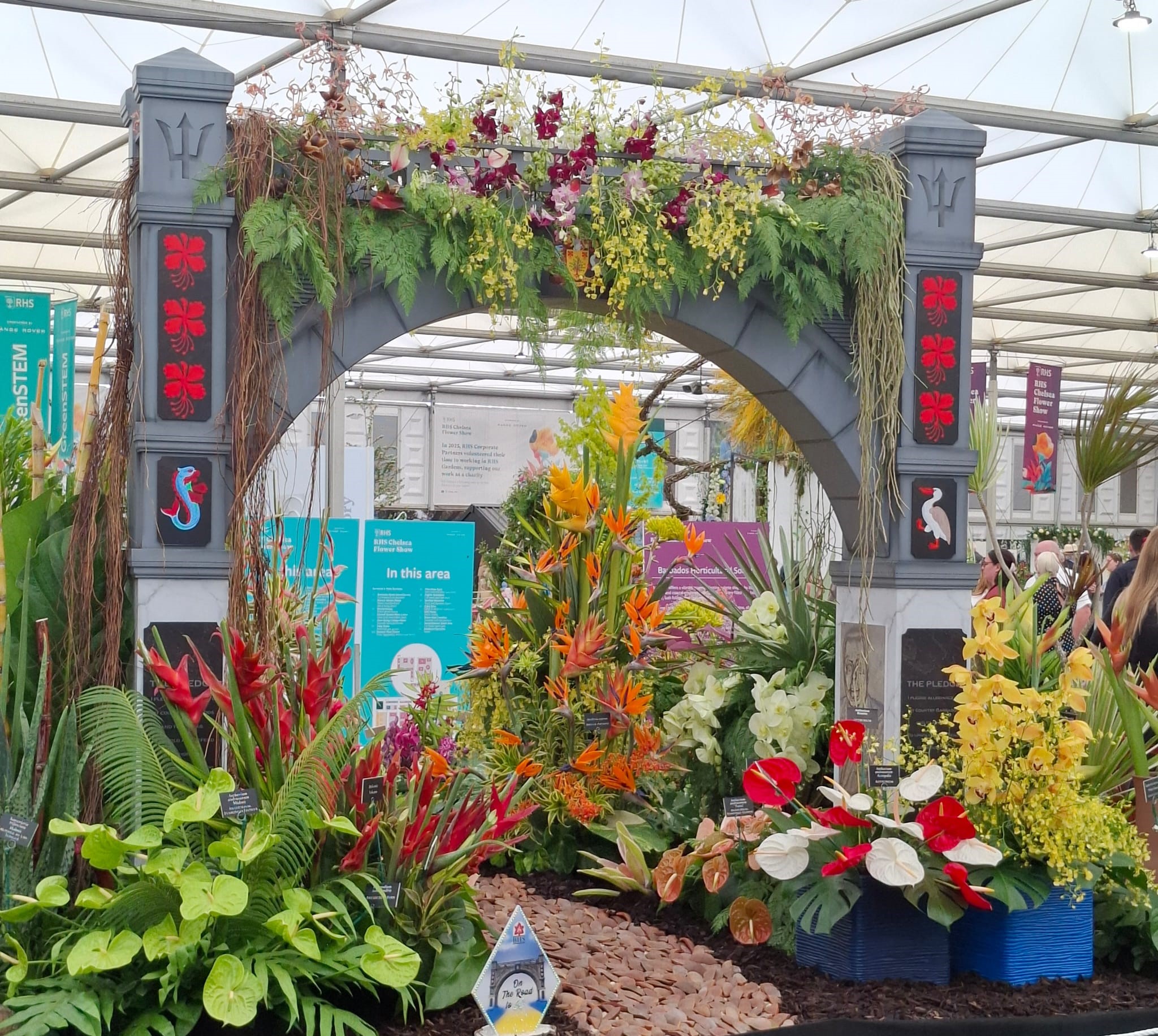 Barbados wins gold at Chelsea Flower Show