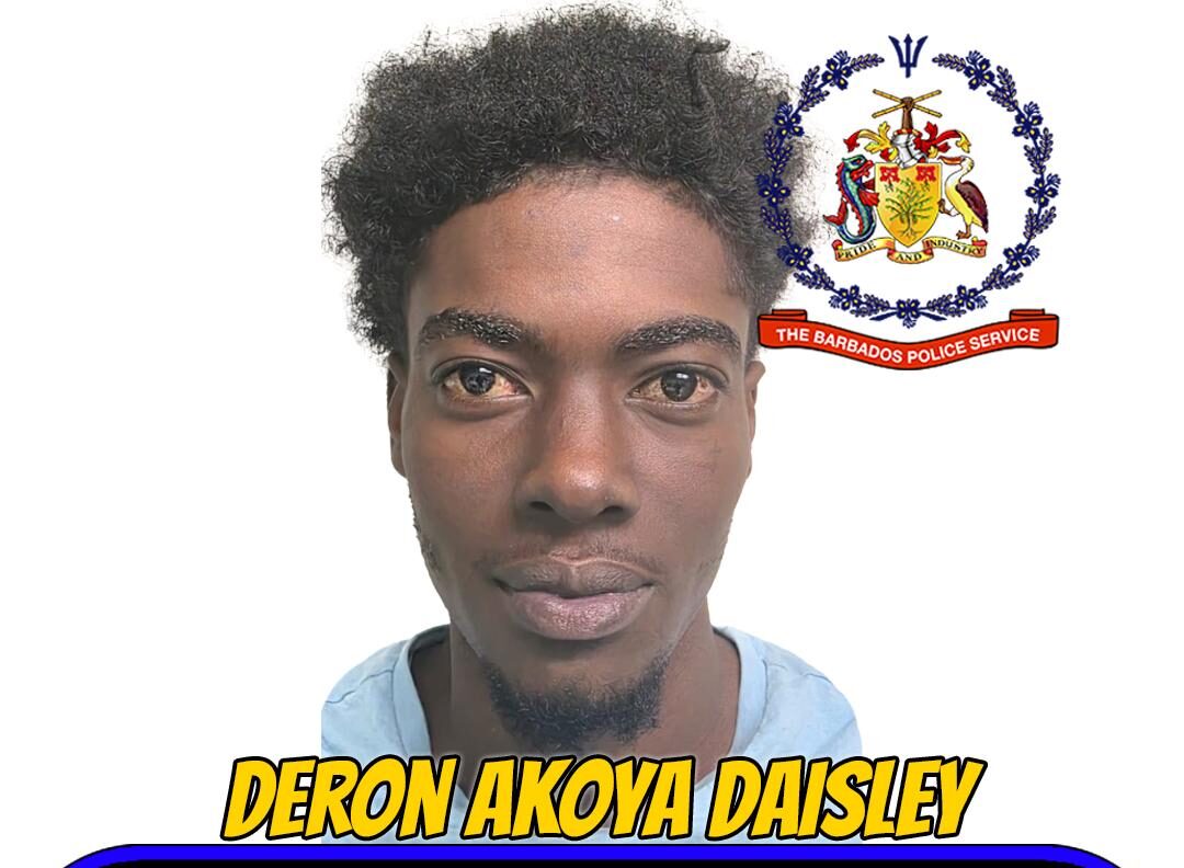 St Philip man remanded on firearm, stolen property charges