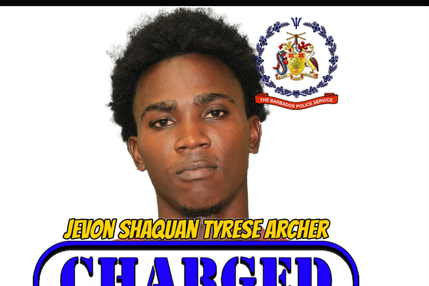 Man remanded on theft and gun charges