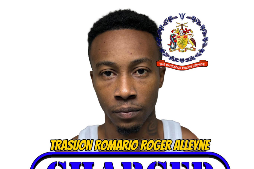 Man remanded on gun and ammo charges