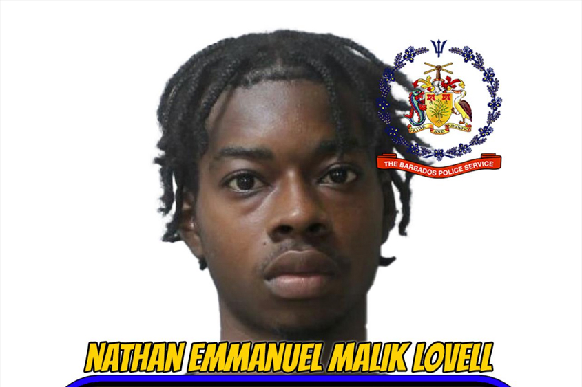 Christ Church man on remand for theft