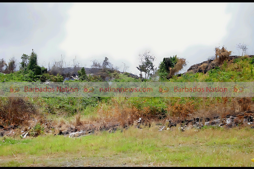 Grass fires leave Sweet Vale folks fearful