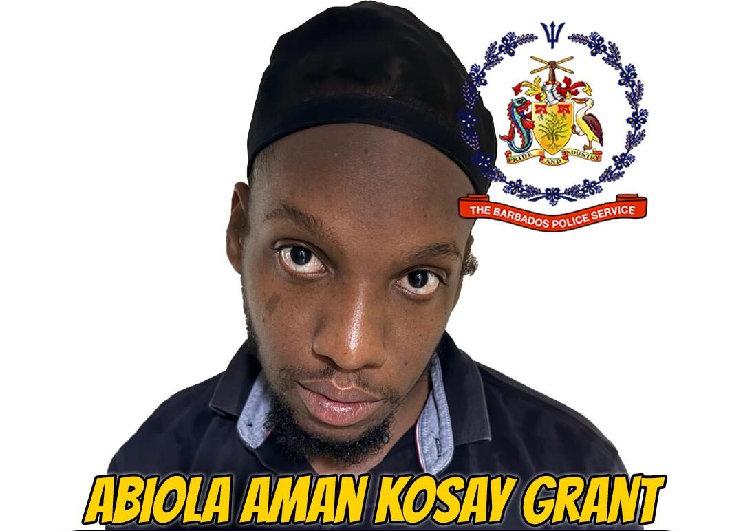 St. Michael man remanded on ammunition charge