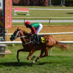 Derby glory on the line