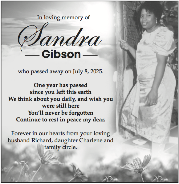 Sandra Gibson-01