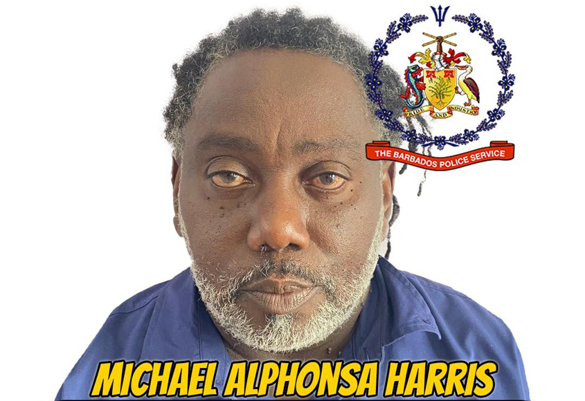 Contractor charged with assault
