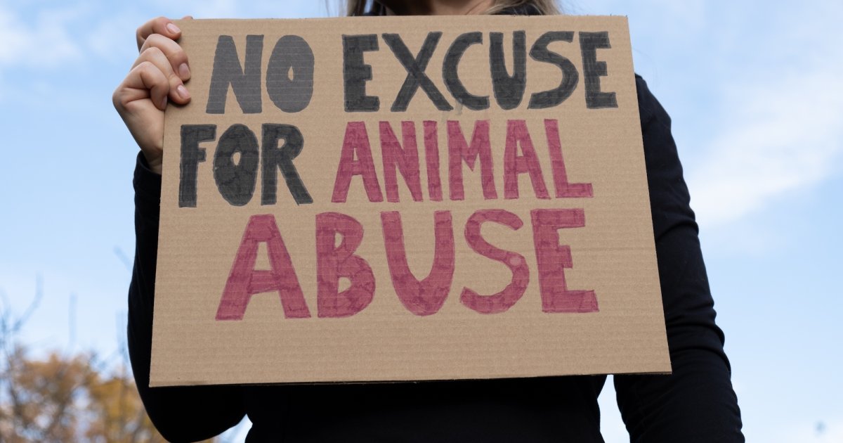 Frustration over animal abuse ‘inaction’
