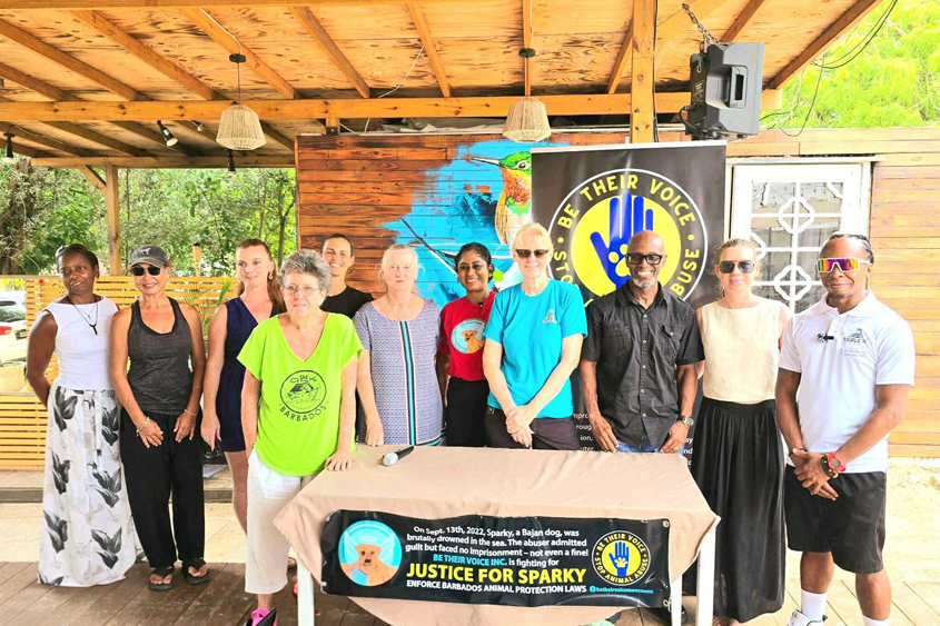 Animal Rights Groups call for action on abuse
