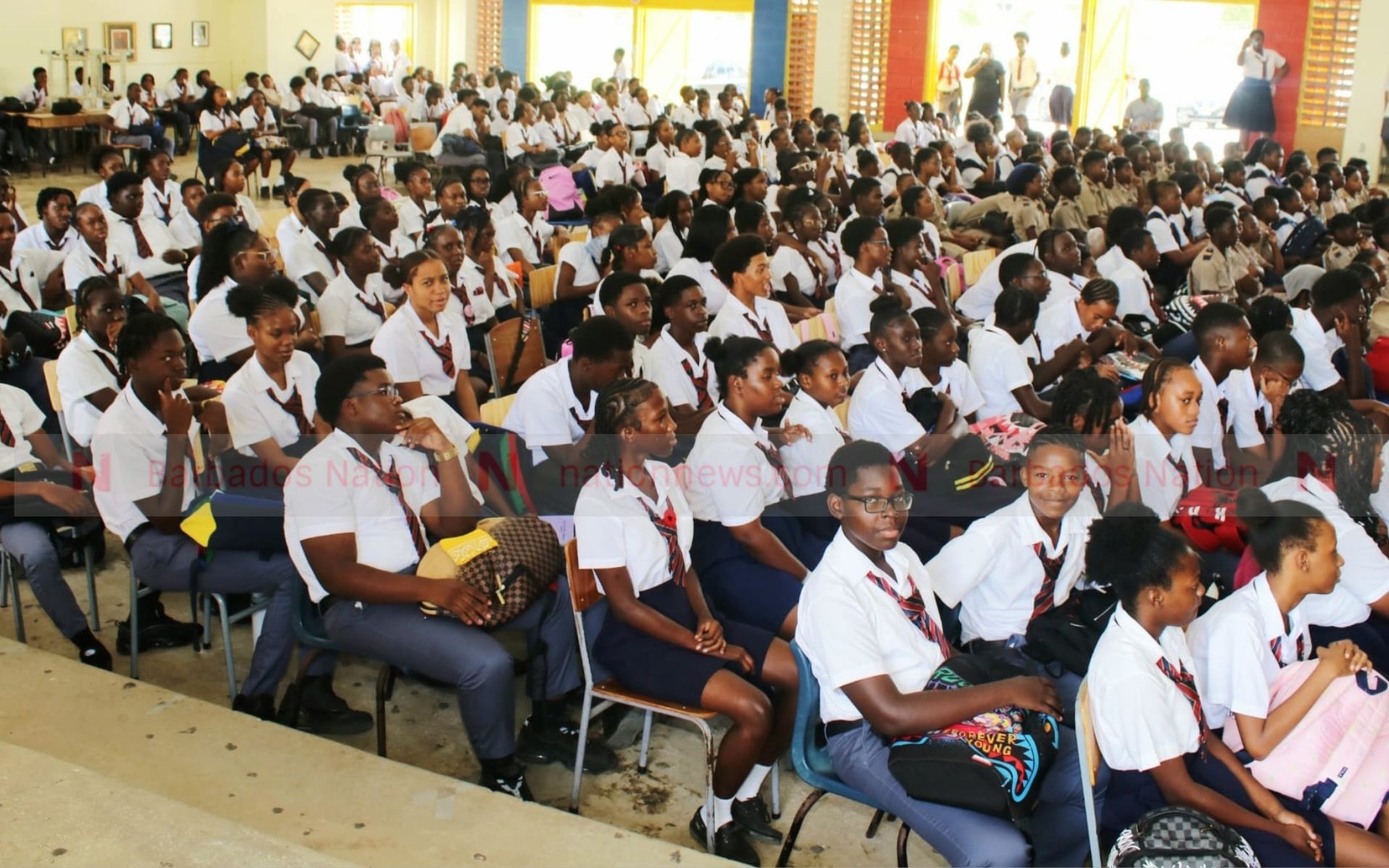 Alleyne School student launches sexual health awareness initiative ...