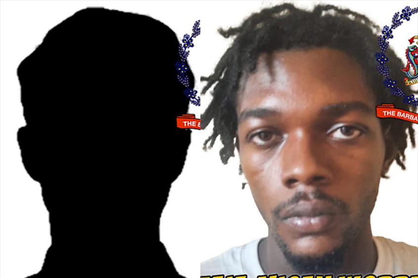 Minor among two remanded on theft and firearm charges
